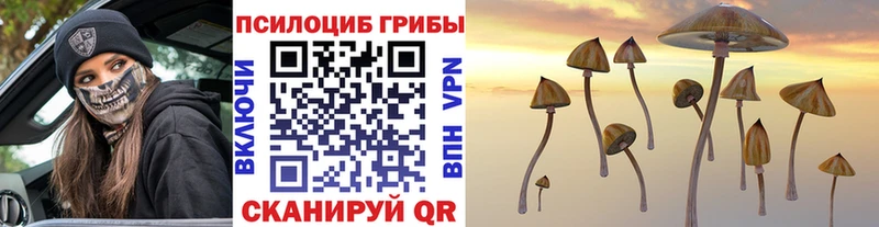 что такое наркотик  Ростов  Галлюциногенные грибы Psilocybe 